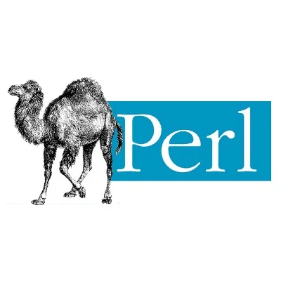 Perl Online Training