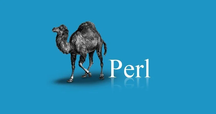 Perl Online Training